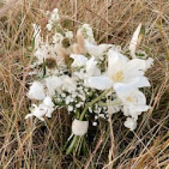 Seller Image